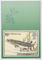 PESCADO Animales Vintage Tarjeta Postal CPSM #PBS867.ES - Fische Und Schaltiere