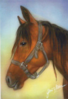 CABALLO Animales Vintage Tarjeta Postal CPSM #PBR956.ES - Paarden