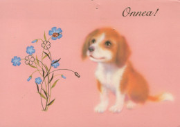 PERRO Animales Vintage Tarjeta Postal CPSM #PAN615.ES - Dogs