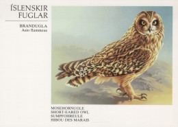 PÁJARO Animales Vintage Tarjeta Postal CPSM #PAN112.ES - Oiseaux