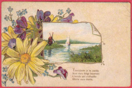 AB722 FANTAISIES FLEURS MARGUERITES MOULIN BATEAU CARTE GAUFREE - - Personnages