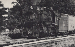 TREN TRANSPORTE Ferroviario Vintage Tarjeta Postal CPSMF #PAA474.ES - Treinen