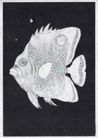 POISSON Animaux Vintage Carte Postale CPSM #PBS868.FR - Fish & Shellfish
