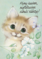 CHAT CHAT Animaux Vintage Carte Postale CPSM #PBR029.FR - Chats