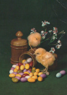 PÂQUES POULET ŒUF Vintage Carte Postale CPSM #PBO730.FR - Ostern