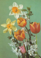 FLEURS Vintage Carte Postale CPSM #PAR313.FR - Flowers