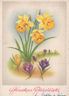 FLEURS Vintage Carte Postale CPSM #PAR072.FR - Bloemen