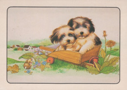 CHIEN Animaux Vintage Carte Postale CPSM #PAN552.FR - Cani