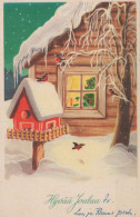 Happy New Year Christmas BIRD Vintage Postcard CPA #PKE863.GB - Nouvel An