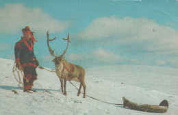 Happy New Year Christmas DEER Vintage Postcard CPA #PKE043.GB - Nouvel An
