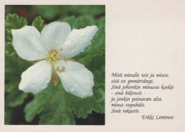 FLOWERS Vintage Postcard CPSM #PBZ680.GB - Fiori