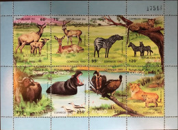 Congo 1993 Animals Birds Sheetlet MNH - Other & Unclassified