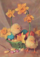 EASTER CHICKEN EGG Vintage Postcard CPSM #PBP229.GB - Easter