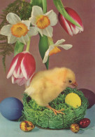 EASTER CHICKEN EGG Vintage Postcard CPSM #PBP107.GB - Easter