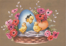 EASTER CHICKEN EGG Vintage Postcard CPSM #PBO916.GB - Pasqua