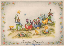 EASTER RABBIT Vintage Postcard CPSM #PBO350.GB - Pâques