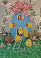 EASTER CHICKEN EGG Vintage Postcard CPSM #PBO604.GB - Ostern