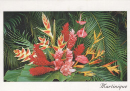 FLOWERS Vintage Postcard CPSM #PAR732.GB - Blumen