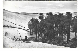 Algérie - EL OUED - Lot De 2 Cartes - N°2 -  (Voir Paragraphe Description) - El-Oued