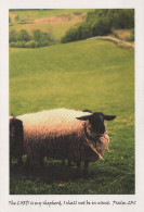 RAM Animale Vintage Cartolina CPSM #PBS595.IT - Altri & Non Classificati