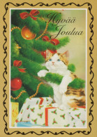 GATTO KITTY Animale Vintage Cartolina CPSM #PBQ780.IT - Gatti