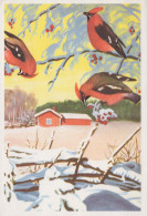 Buon Anno Natale UCCELLO Vintage Cartolina CPSM #PBB451.IT - New Year