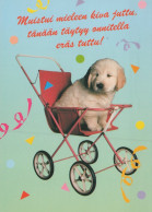 CANE Animale Vintage Cartolina CPSM #PAN817.IT - Dogs