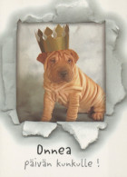 CANE Animale Vintage Cartolina CPSM #PAN753.IT - Dogs