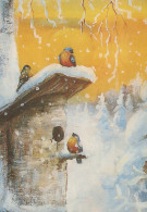UCCELLO Animale Vintage Cartolina CPSM #PAM868.IT - Birds