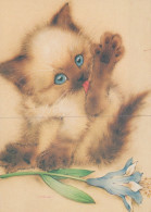 GATTO KITTY Animale Vintage Cartolina CPSM #PAM177.IT - Katten