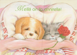 CANE E GATTOAnimale Vintage Cartolina CPSM #PAM053.IT - Chiens