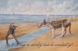 DONKEY Animals Vintage Antique Old CPA Postcard #PAA319.GB - Donkeys