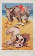 ASINO Animale Vintage CPA Cartolina #PAA245.IT - Burros