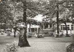 CPSM Dax  Au Bois De Boulogne Restaurant  Chez Pierre Albaladéjo - Dax