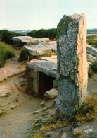 1 AK Frankreich / France * Les Dolmen Des Pierres Plates Eine Megalithanlage Bei Locmariaquer Im Département Morbihan * - Locmariaquer