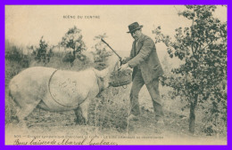 * GROUPE SYMPATHIQUE CHERCHANT LA TRUFFE * BETE ATTENDANT SA RECOMPENSE - COCHON PORC - ANIMEE - 505 - 1904 - Autres & Non Classés