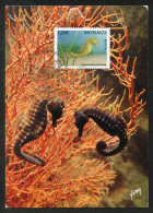 MONACO (2021) Carte Maximum Card - EUROPA 2021 Espèces Menacées, Hippocampe, Hippocampus Guttulatus, Seahorse - Cartas Máxima