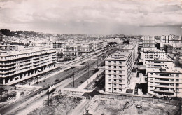 Le Havre  - Avenue Foch Et Nouveaus Immeubles  -  CPSM°J - Zonder Classificatie