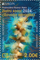Montenegro.2024.Europa CEPT.Underwater Fauna And Flora.1 V. ** . - 2024