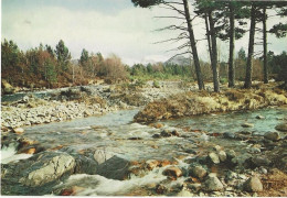 144 -  On The Larig Ghru, Coylumbridge, Aviemore - Inverness-shire