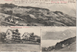 GRUSS AU GOLDIWYL EN  1903 - Autres & Non Classés