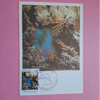 Carte Maximum Musée Océanographique Timbre Joyaux De La Mer Monaco 26-04-1991 - Brieven En Documenten