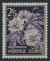 Norfolk 38, MNH. Michel 33. Passionflower, 1962. - Isola Norfolk