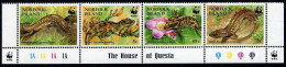 Norfolk 596 Ad Strip,MNH.Michel 604-607. WWF 1995.Skinks And Geckos. - Ile Norfolk