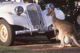 1994 KANGOROO CITROEN TRACTION CAR VOITURE FRANCE 35mm PRESS DIAPOSITIVE SLIDE Not PHOTO No FOTO NB4130 - Diapositives (slides)