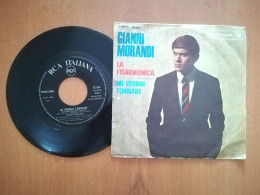 GIANNI MORANDI -LA FISARMONICA -MI VEDRAI TORNARE -DISCO VINILE 45 GIRI VINTAGE - Altri - Musica Italiana