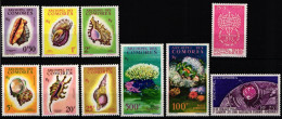 Komoren Jahrgang 1962 Postfrisch #NH347 - Komoren (1975-...)