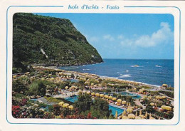 AK 211410 ITALY - Isola D'Ischia - Forio - Other & Unclassified