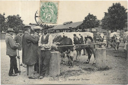 LISIEUX Le Marché Aux Bestiaux - Lisieux