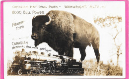 INDIENS - Canadian National Park - Waiwright, Bison, Train - Indios De América Del Norte